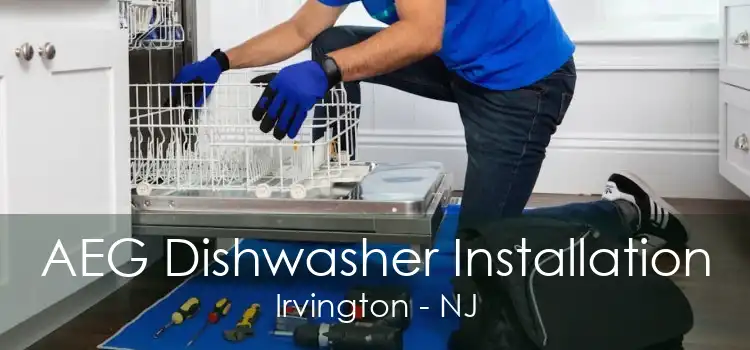 AEG Dishwasher Installation Irvington - NJ