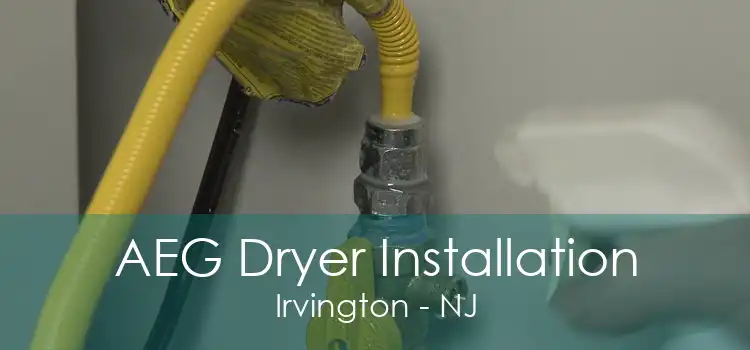 AEG Dryer Installation Irvington - NJ