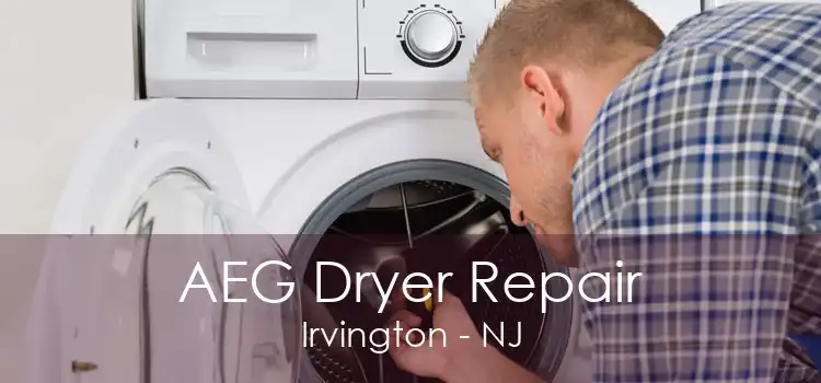 AEG Dryer Repair Irvington - NJ