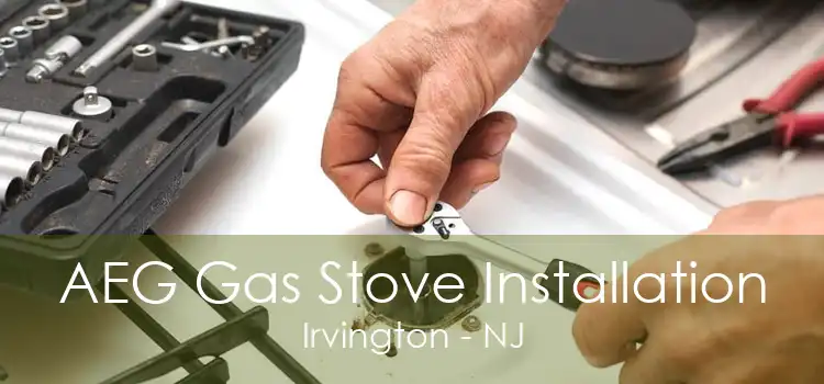 AEG Gas Stove Installation Irvington - NJ