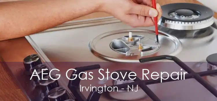 AEG Gas Stove Repair Irvington - NJ