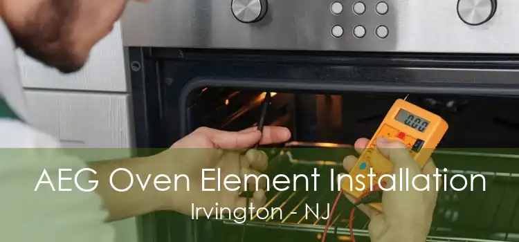 AEG Oven Element Installation Irvington - NJ