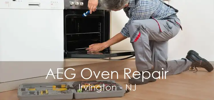 AEG Oven Repair Irvington - NJ
