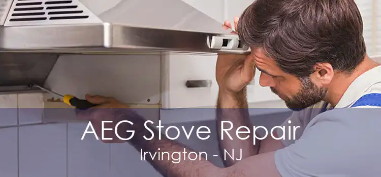 AEG Stove Repair Irvington - NJ