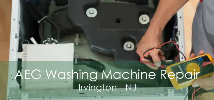 AEG Washing Machine Repair Irvington - NJ