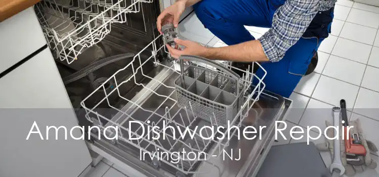 Amana Dishwasher Repair Irvington - NJ