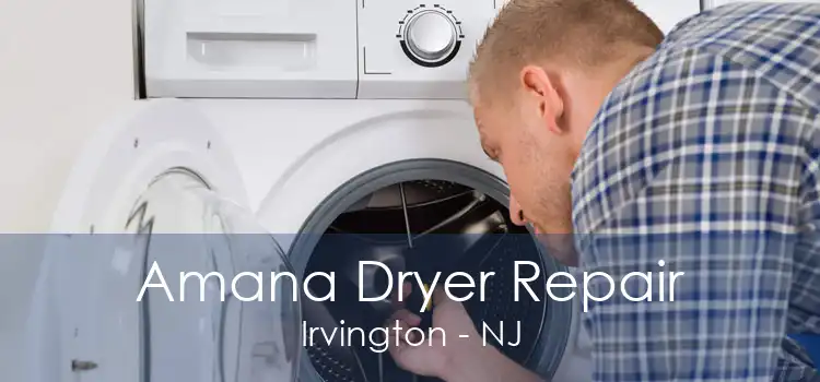 Amana Dryer Repair Irvington - NJ