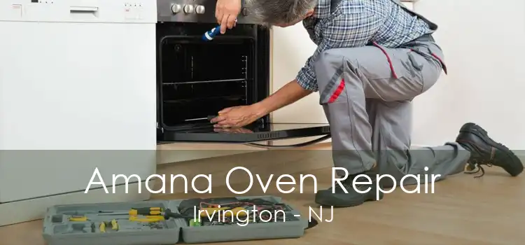 Amana Oven Repair Irvington - NJ