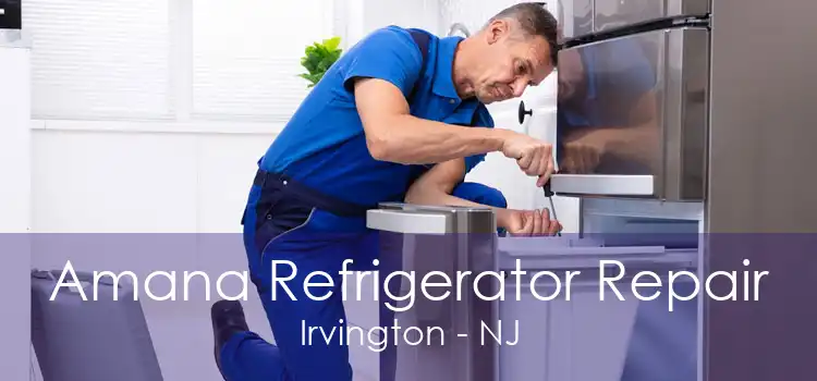 Amana Refrigerator Repair Irvington - NJ