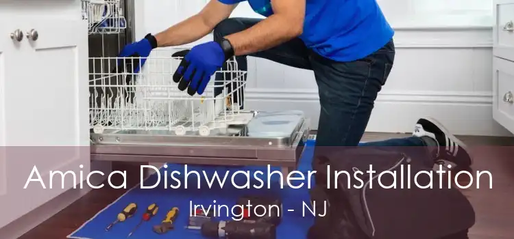 Amica Dishwasher Installation Irvington - NJ
