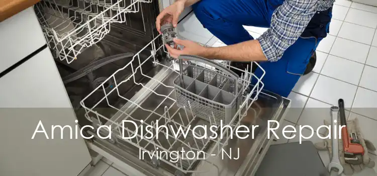 Amica Dishwasher Repair Irvington - NJ