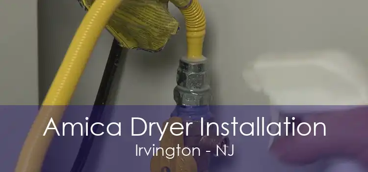 Amica Dryer Installation Irvington - NJ