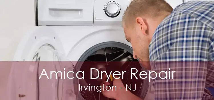 Amica Dryer Repair Irvington - NJ
