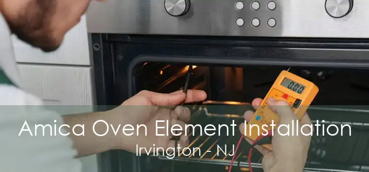 Amica Oven Element Installation Irvington - NJ