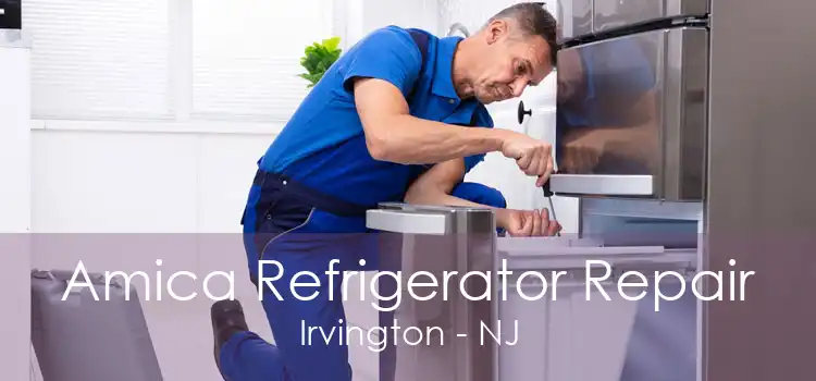 Amica Refrigerator Repair Irvington - NJ