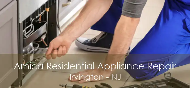 Amica Residential Appliance Repair Irvington - NJ