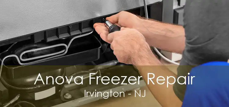 Anova Freezer Repair Irvington - NJ