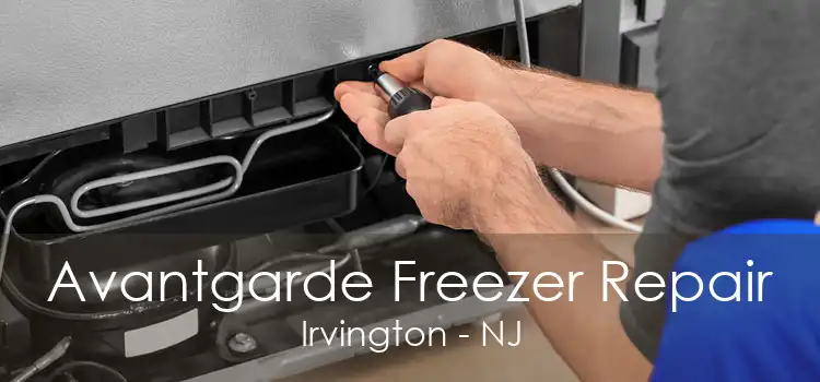 Avantgarde Freezer Repair Irvington - NJ