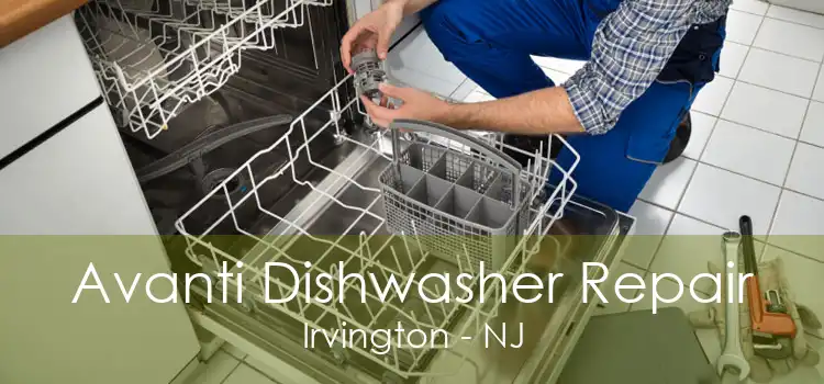 Avanti Dishwasher Repair Irvington - NJ