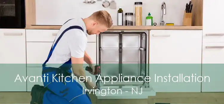 Avanti Kitchen Appliance Installation Irvington - NJ