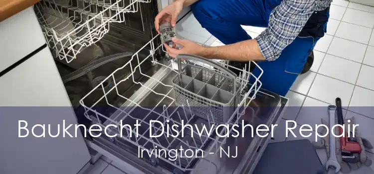 Bauknecht Dishwasher Repair Irvington - NJ