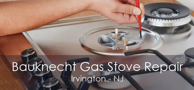 Bauknecht Gas Stove Repair Irvington - NJ