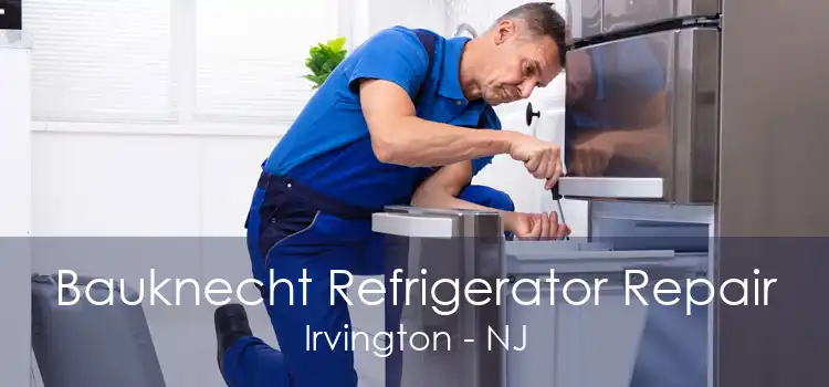 Bauknecht Refrigerator Repair Irvington - NJ