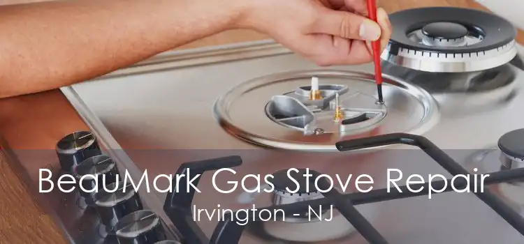 BeauMark Gas Stove Repair Irvington - NJ