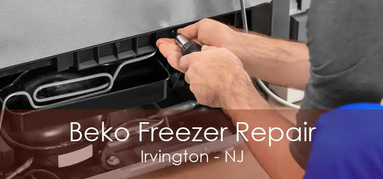 Beko Freezer Repair Irvington - NJ