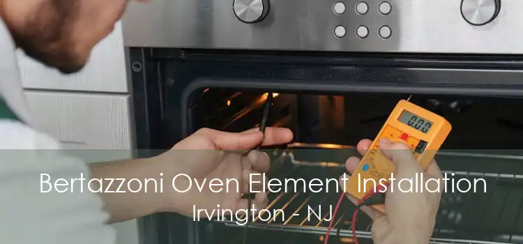 Bertazzoni Oven Element Installation Irvington - NJ