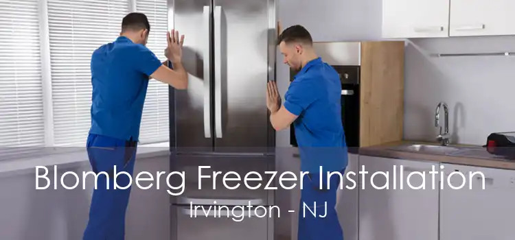 Blomberg Freezer Installation Irvington - NJ