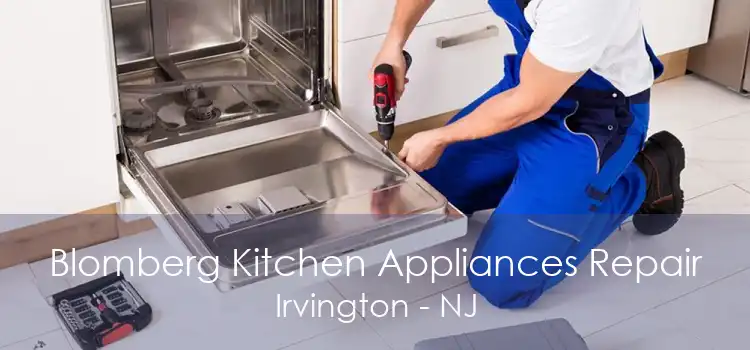 Blomberg Kitchen Appliances Repair Irvington - NJ