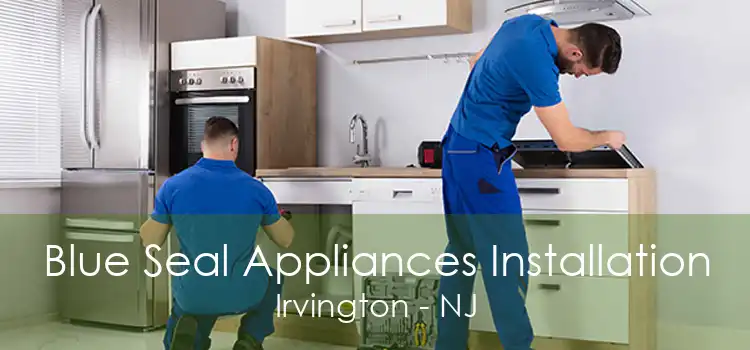 Blue Seal Appliances Installation Irvington - NJ