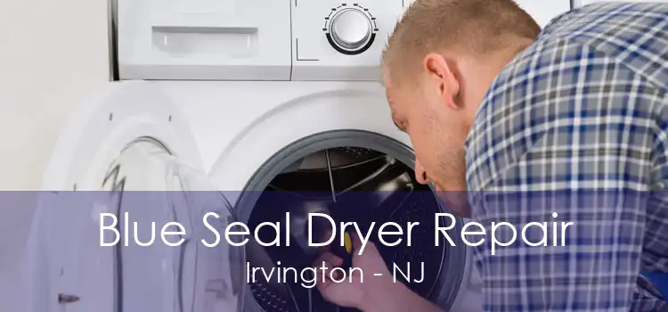Blue Seal Dryer Repair Irvington - NJ