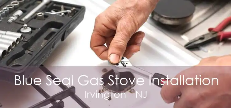 Blue Seal Gas Stove Installation Irvington - NJ