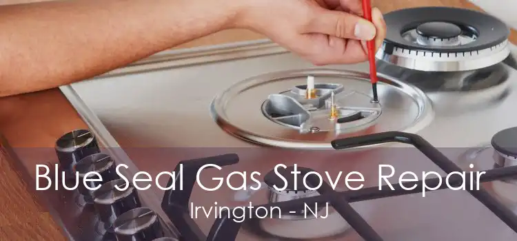 Blue Seal Gas Stove Repair Irvington - NJ
