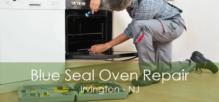 Blue Seal Oven Repair Irvington - NJ
