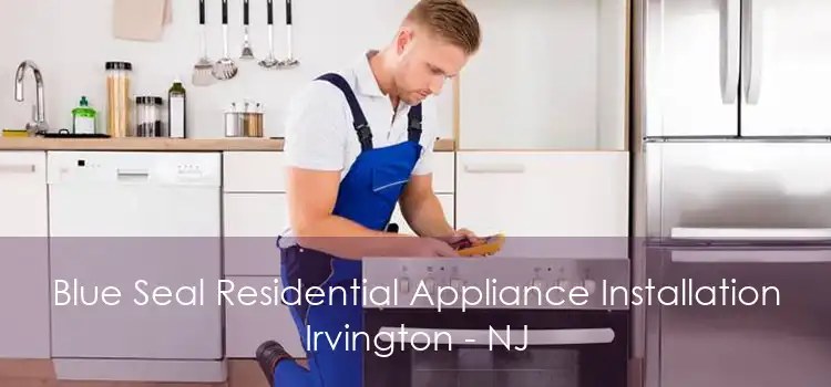 Blue Seal Residential Appliance Installation Irvington - NJ