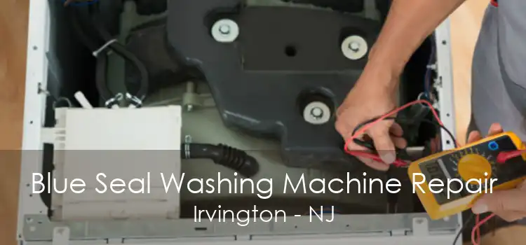 Blue Seal Washing Machine Repair Irvington - NJ