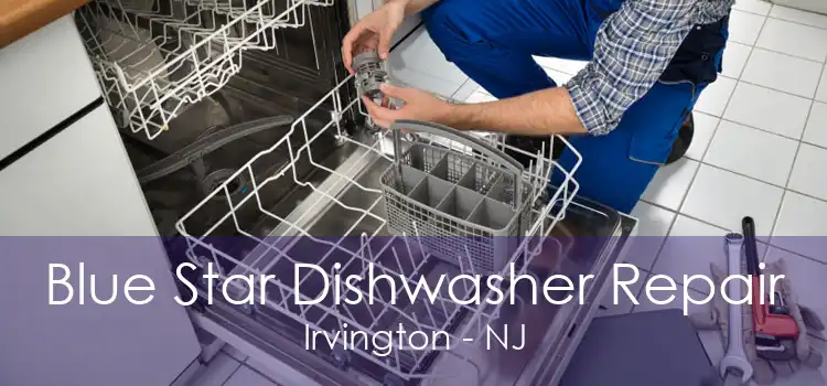 Blue Star Dishwasher Repair Irvington - NJ