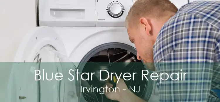 Blue Star Dryer Repair Irvington - NJ