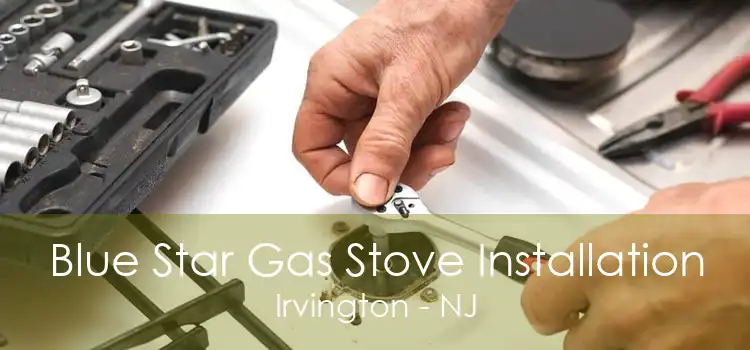 Blue Star Gas Stove Installation Irvington - NJ