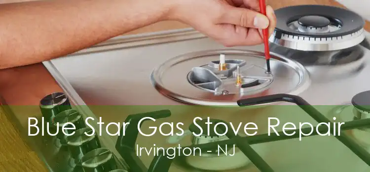 Blue Star Gas Stove Repair Irvington - NJ