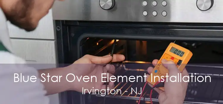 Blue Star Oven Element Installation Irvington - NJ