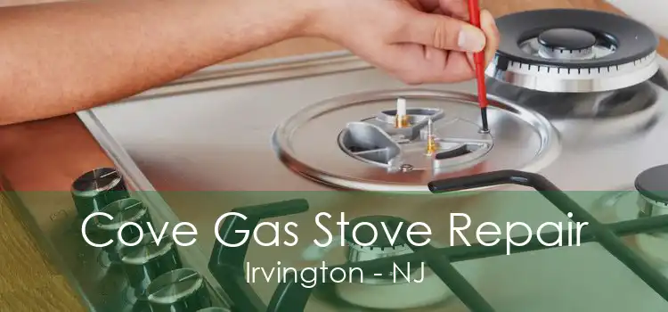 Cove Gas Stove Repair Irvington - NJ
