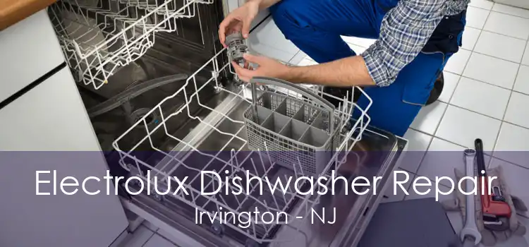 Electrolux Dishwasher Repair Irvington - NJ