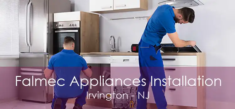 Falmec Appliances Installation Irvington - NJ