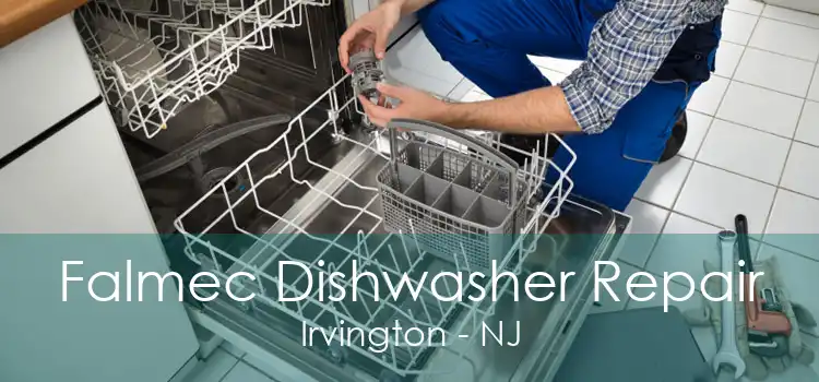 Falmec Dishwasher Repair Irvington - NJ