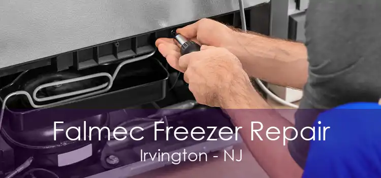 Falmec Freezer Repair Irvington - NJ