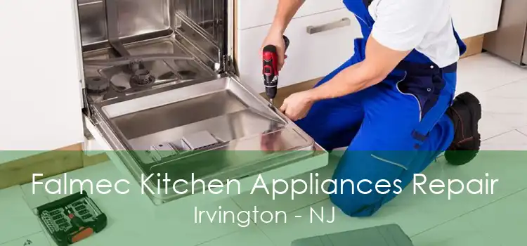 Falmec Kitchen Appliances Repair Irvington - NJ